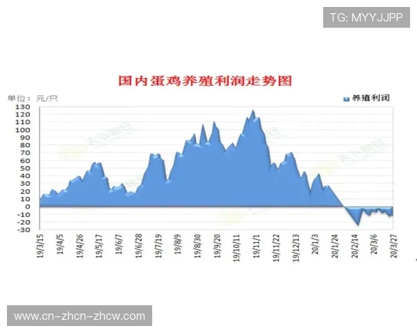 多名主力伤停影响球队攻防体系，医疗保障成焦点